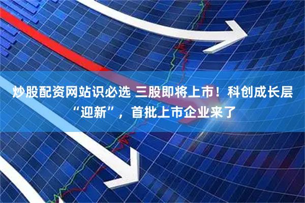 炒股配资网站识必选 三股即将上市！科创成长层“迎新”，首批上市企业来了