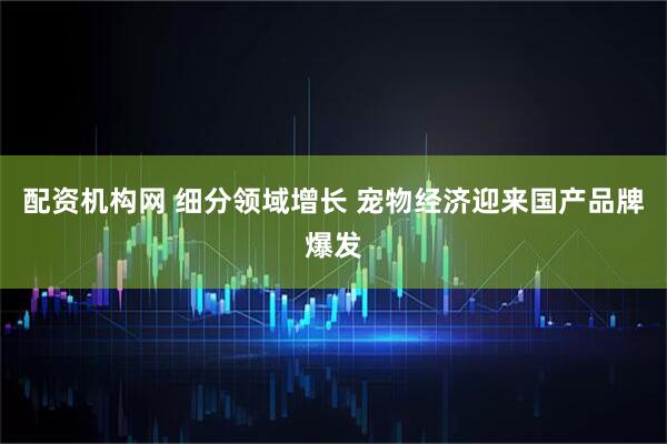 配资机构网 细分领域增长 宠物经济迎来国产品牌爆发