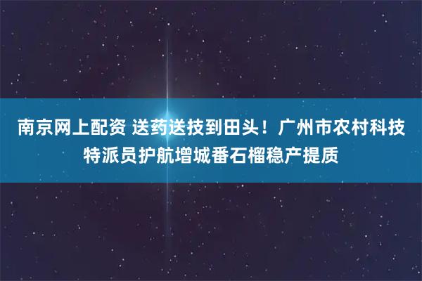 南京网上配资 送药送技到田头！广州市农村科技特派员护航增城番石榴稳产提质