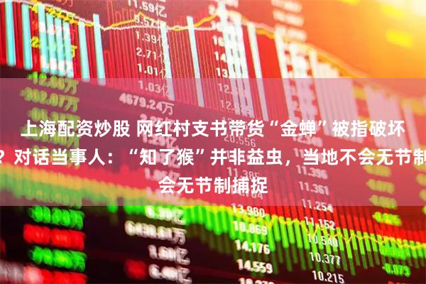 上海配资炒股 网红村支书带货“金蝉”被指破坏生态？对话当事人：“知了猴”并非益虫，当地不会无节制捕捉